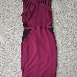 Elegant Burgundy Sleeveless Dress